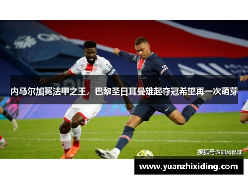 内马尔加冕法甲之王，巴黎圣日耳曼雄起夺冠希望再一次萌芽