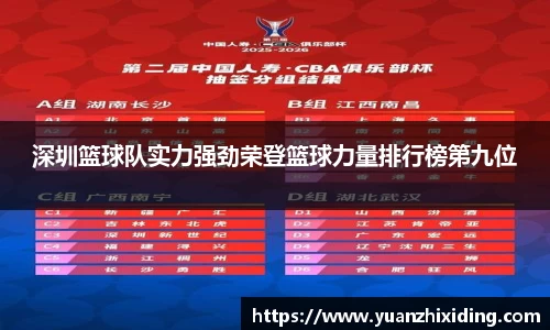 深圳篮球队实力强劲荣登篮球力量排行榜第九位